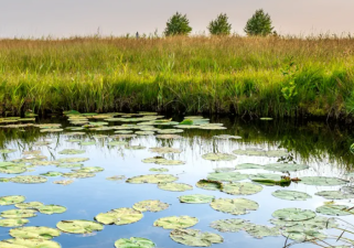 Why Biodiversity Matters More Than Ever